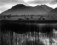 Brett Weston, Landscape, Germany, 1960, Vintage gelatin silver print, 7-1/2" x 9-1/2"