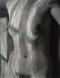 Edward Weston, Nude, 1920, printed later by Cole Weston