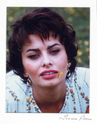 Loomis Dean, Sophia Loren in Field, 1957