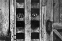 W. Eugene Smith, Hands In Stockade, Africa, 1954