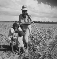 Marion Post Wolcott, Taking a Drink and Resting from Hoeing Cotton, 1941