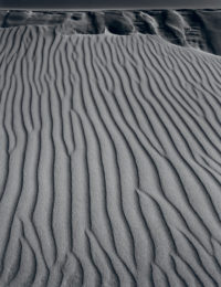 Ansel Adams, Sand Dunes, Oceano, California, 1950