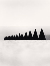 Michael Kenna, Conical Hedges, Versailles, France, 1988