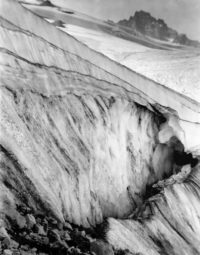 Imogen Cunningham, On the Slope, Mt. Rainier, 1915