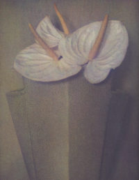 Sheila Metzner, Anthuriums, 1985
