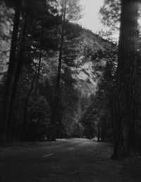 Valley Road, Yosemite National Park, 2019