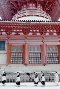 Don Farber, Konpon Daito Pagoda, Koyasan, Japan, 1989