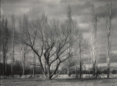 Autumn Storm, Owens Valley, 1943
